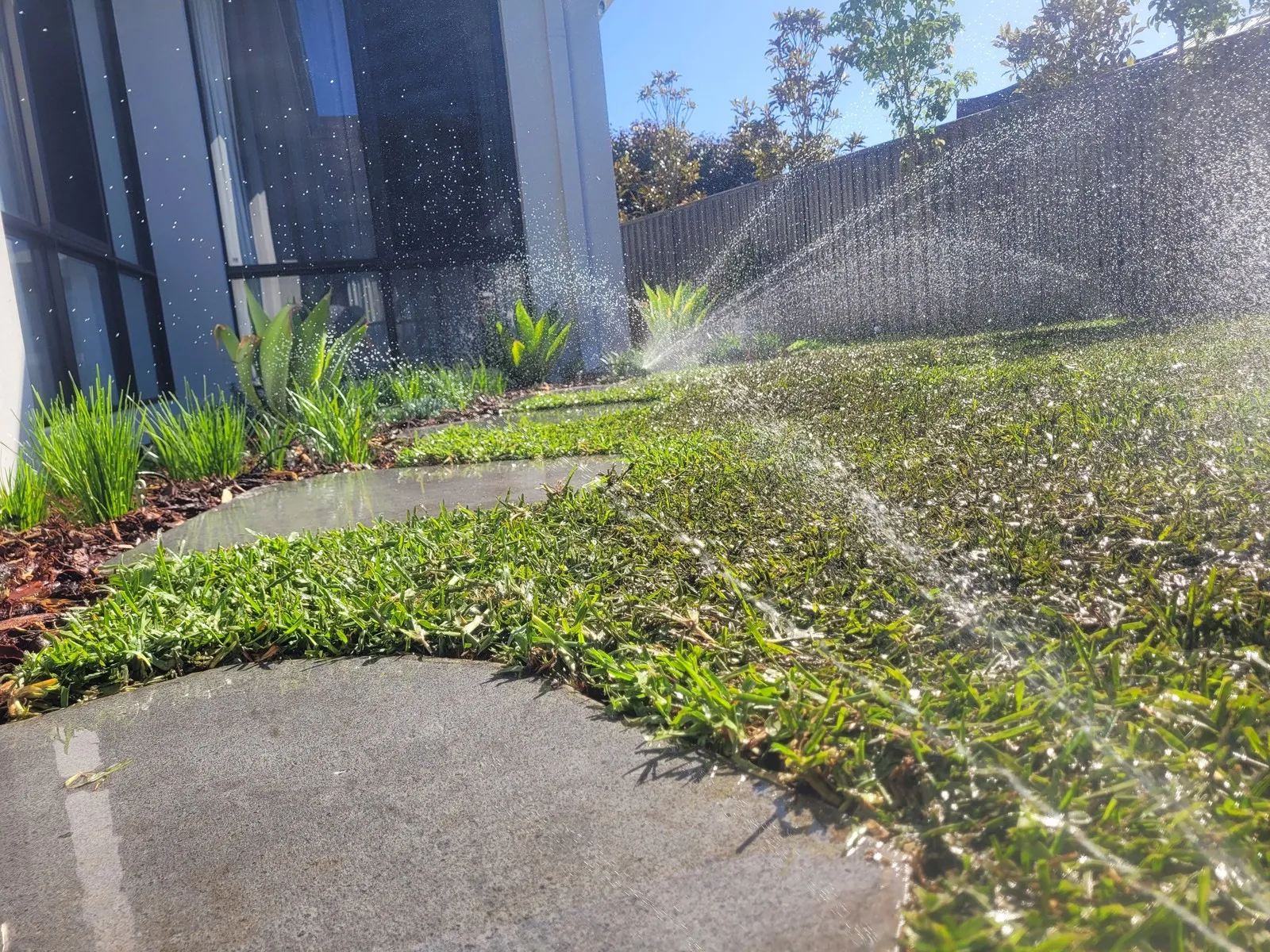 Pop-up sprinkler watering a lush green Perth lawn