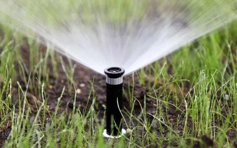Pop-up sprinkler fanning a fine spray of water over grass and dark soil at close range.