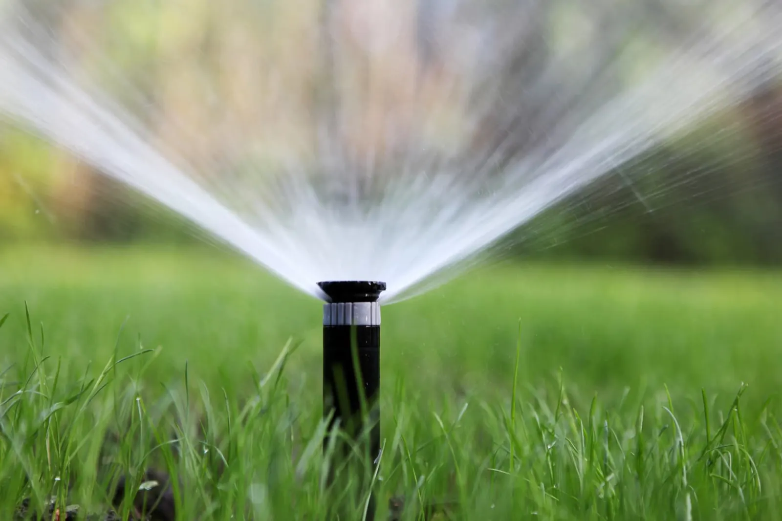 Black pop-up sprinkler throwing a wide arc of water across a sunlit green lawn.