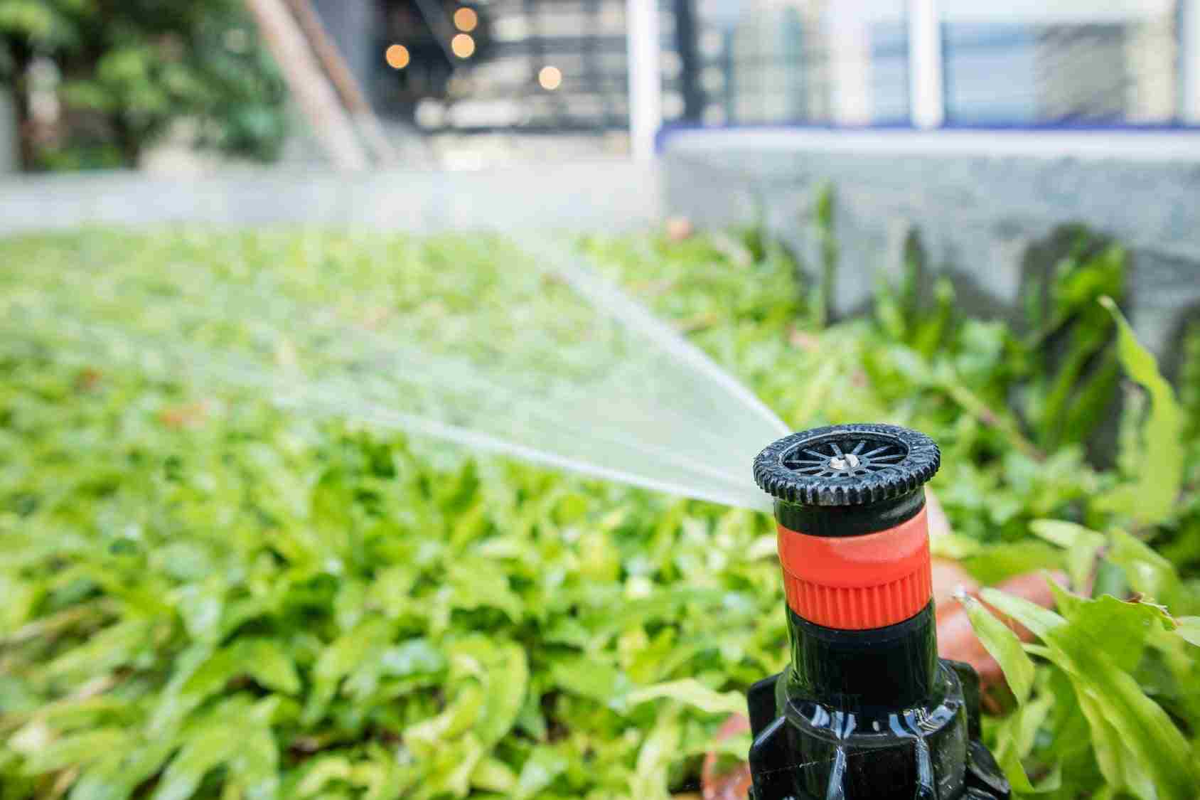 Close-up of an adjustable spray sprinkler watering a planted garden bed beside a building.