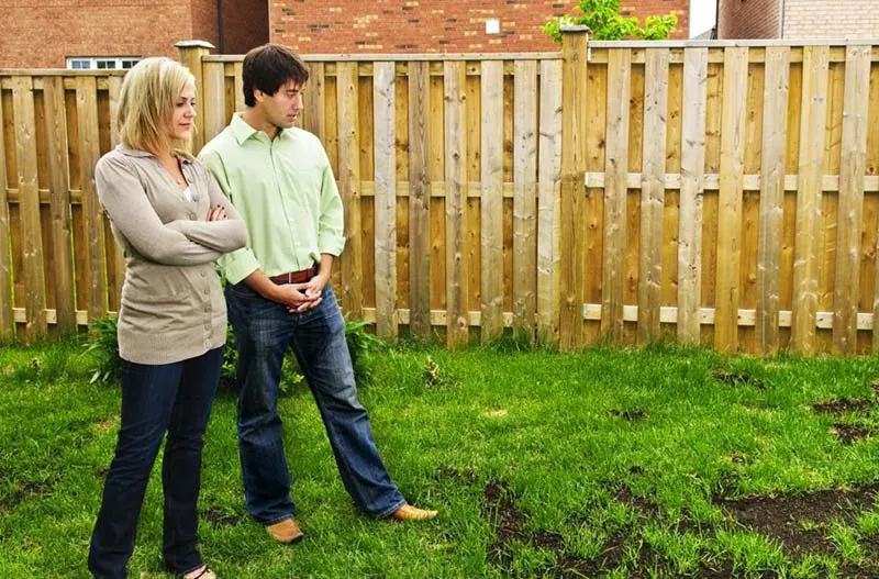Couple standing on a patchy backyard lawn with bare dirt spots, looking at the damaged grass beside a timber fence.