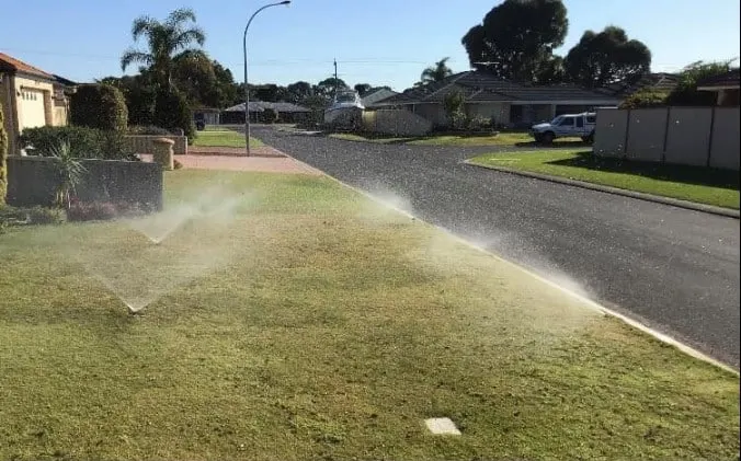 watering time