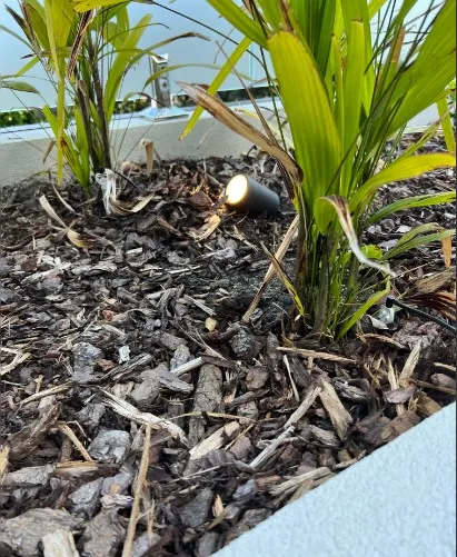 Small black garden uplight tucked into a mulched bed of young palms along a paved edge.
