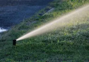 directional sprinkler reticulation watering system Perth