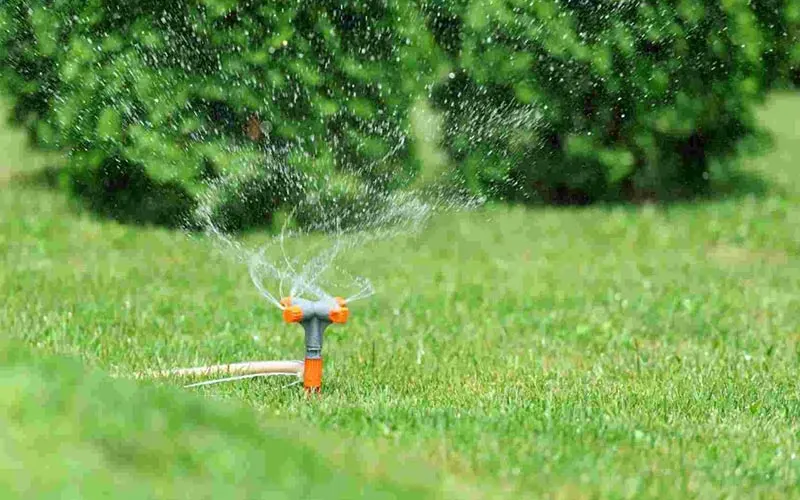 Tripod-style rotary sprinkler spinning water across a sunlit lawn in front of dense trees.