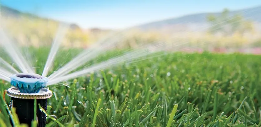 MP Rotator nozzle with blue cap throwing multiple thin streams low across a lawn.