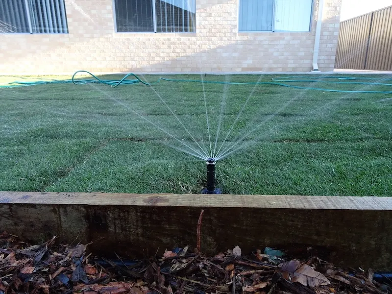 Pop-up sprinkler raised above mulch edging to clear lawn level