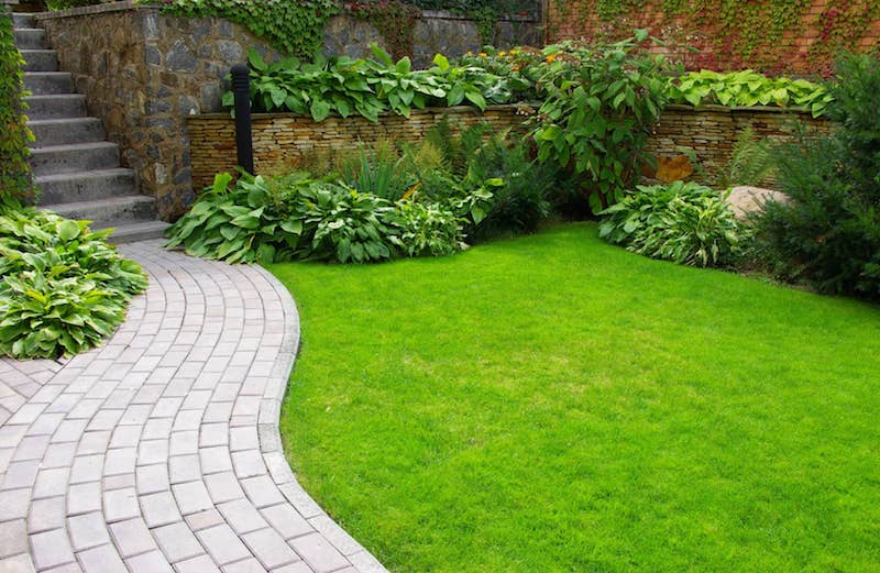 Manicured backyard lawn bordered by a stone wall, paved path and tidy garden beds.